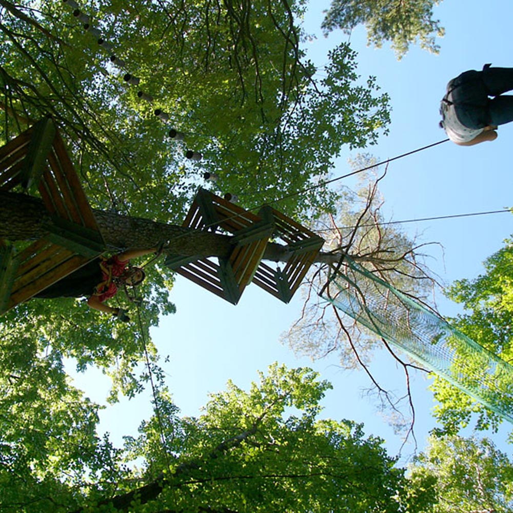 Der Kletterwald von unten